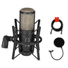 AKG Project Studio P220 Large Diaphragm Condenser Microphone With Pop Filter and XLR To XLR Cable