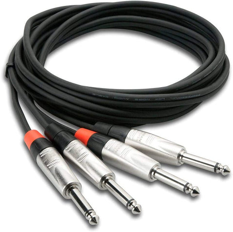 Hosa Technology Pro Stereo Dual REAN 1/4&quot; M to 1/4&quot; M TS Cable - 20'