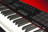 Acorn Nektar Panorama P6 61 note Advanced USB MIDI controller Keyboard (Refurb)