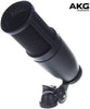 AKG P120 High-Performance General Purpose Recording Microphone (Renewed)