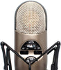 CAD Audio M179 Variable-Pattern Condenser Microphone + Boom Microphone Stand + On Stage 4-Inch Pop Filter + XLR Mic Cable