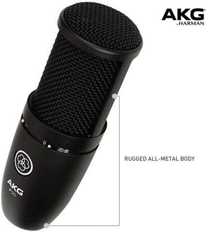 AKG P120 High-Performance General Purpose Recording Microphone (Renewed)