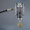 Blue Microphones Baby Bottle SL Large-Diaphragm Condenser Microphone