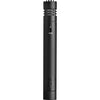 AKG 2 P170 Small-Diaphragm Condenser Microphone (PAIR)