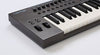 Nektar Impact LX49 49 note USB keyboard controller bundle with Bitwig Studio Software DAW and NP-1 Pedal