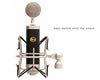 Blue Microphones Baby Bottle Studio Condenser Mic w/Case (Refurb)