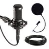 Audio-Technica AT2035 Large Diaphragm Studio Condenser Microphone Bundle with Shock Mount, Pop Filter, and XLR Cable