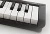 Korg MICROKEY249 49-Key Compact MIDI Keyboard