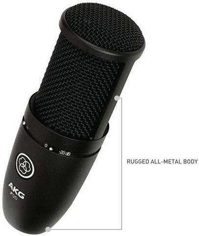 AKG P120 High-Performance General Purpose Recording Microphone