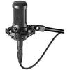 Audio Technica AT2050 Studio Condenser Mic Bundle w/Pop Filter, Mic Cable &amp;amp;amp;amp;amp;amp; Boom Stand