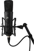 Warm Audio WA-87 R2 Large Diaphragm Condenser Microphone Black
