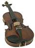 Violin For Dummies Learner's Package