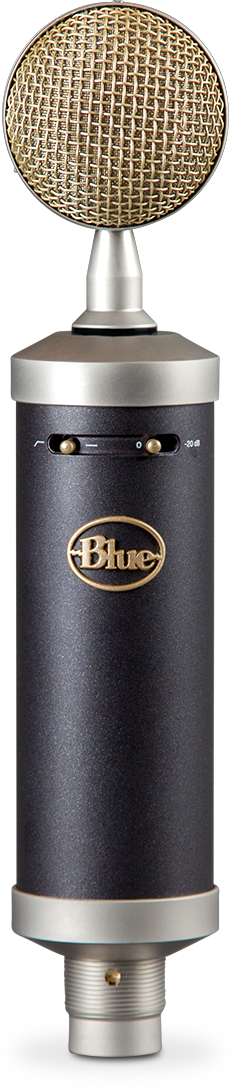 Blue Baby Bottle SL Microphone Bundle with Quad xlr cable and the Pop Blue Baby Bottle SL Microphone Bundle with Quad xlr cable and the Pop